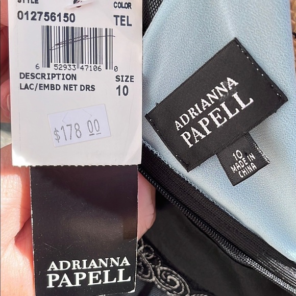 NWT Adriana Papell lace embroidered net sheer dress- gown- Size 10 - Picture 16 of 17